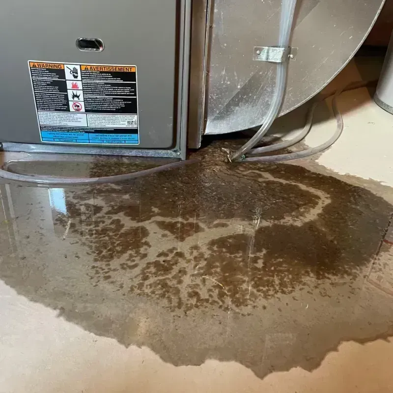 Appliance Leak Cleanup in Campbell, MO